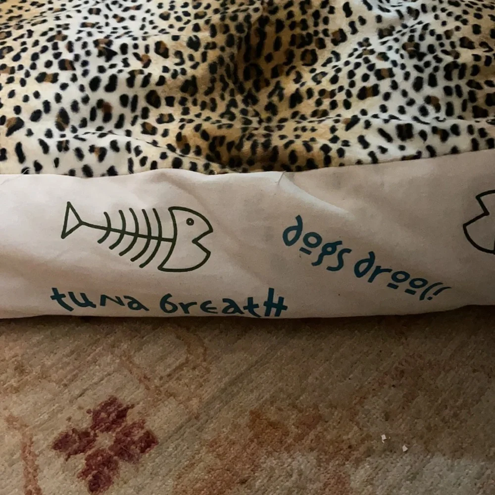 New Cat bed Design Legacy